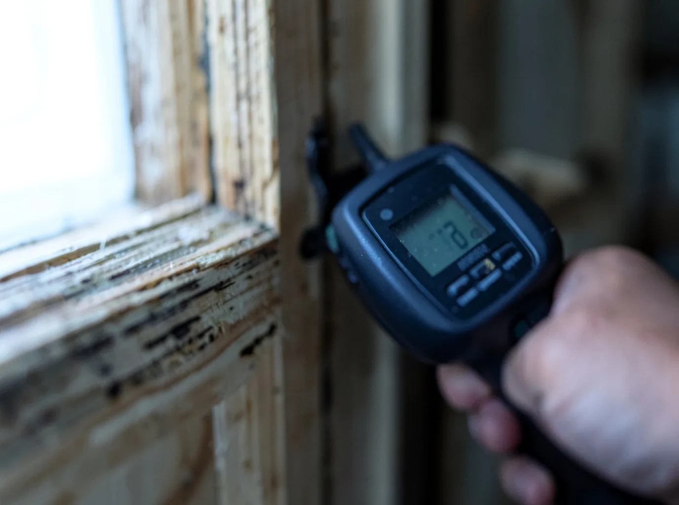 Moisture Inspection And Documentation in Charleston, TN